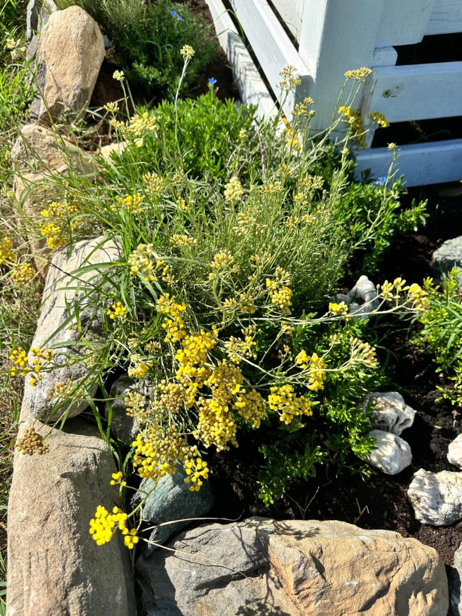Alloggio per agriturismo Les De Lisa Maria *