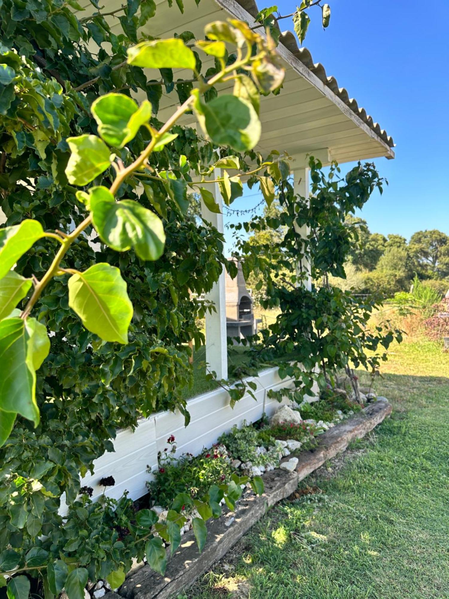 Farm stay Les De Lisa Maria *